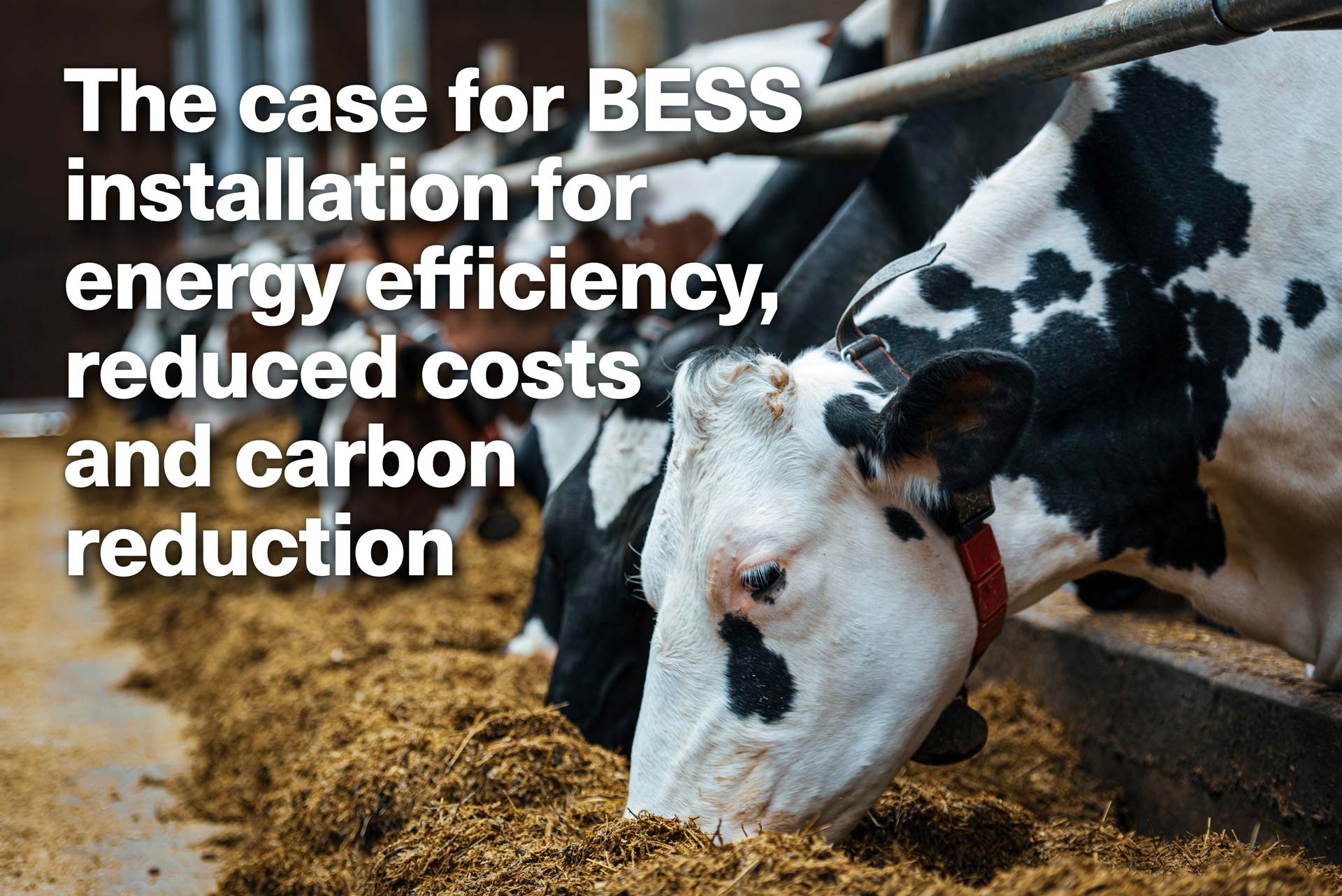 Dairy Farm BESS Installation - The Benefits